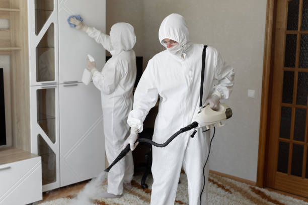 Trusted Lubeck, WV Mold Removal Experts